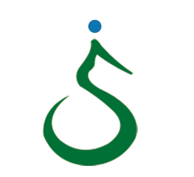 Success Infinite logo