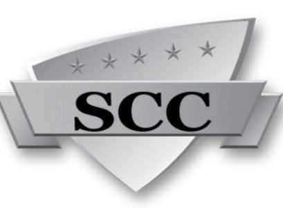 Sunny Coaching Classes logo