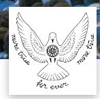The Mother\'s International School logo