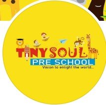 Tiny Soul logo