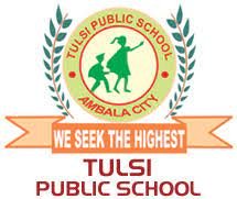 Tulsi Public Sen. Sec. School logo
