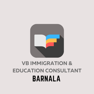 VB Immigration & Education Consultant logo