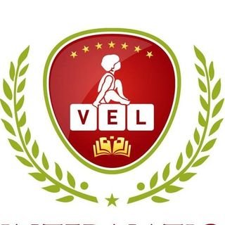 Vel International Public School logo
