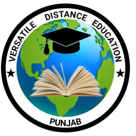 Versatile Institute logo