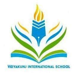 Vidyakunj International School logo