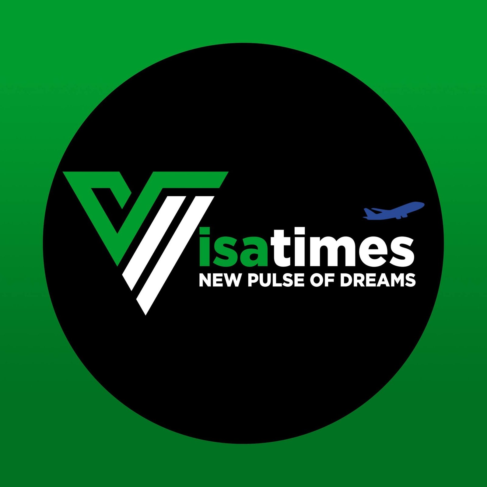 Visa Times logo