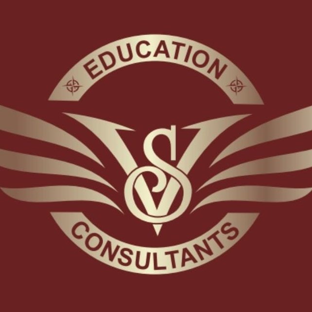 Visa Safe Education Consultant logo