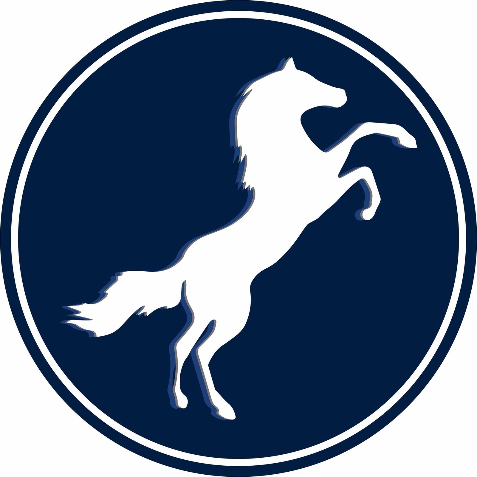 White Horse IELTS Academy logo