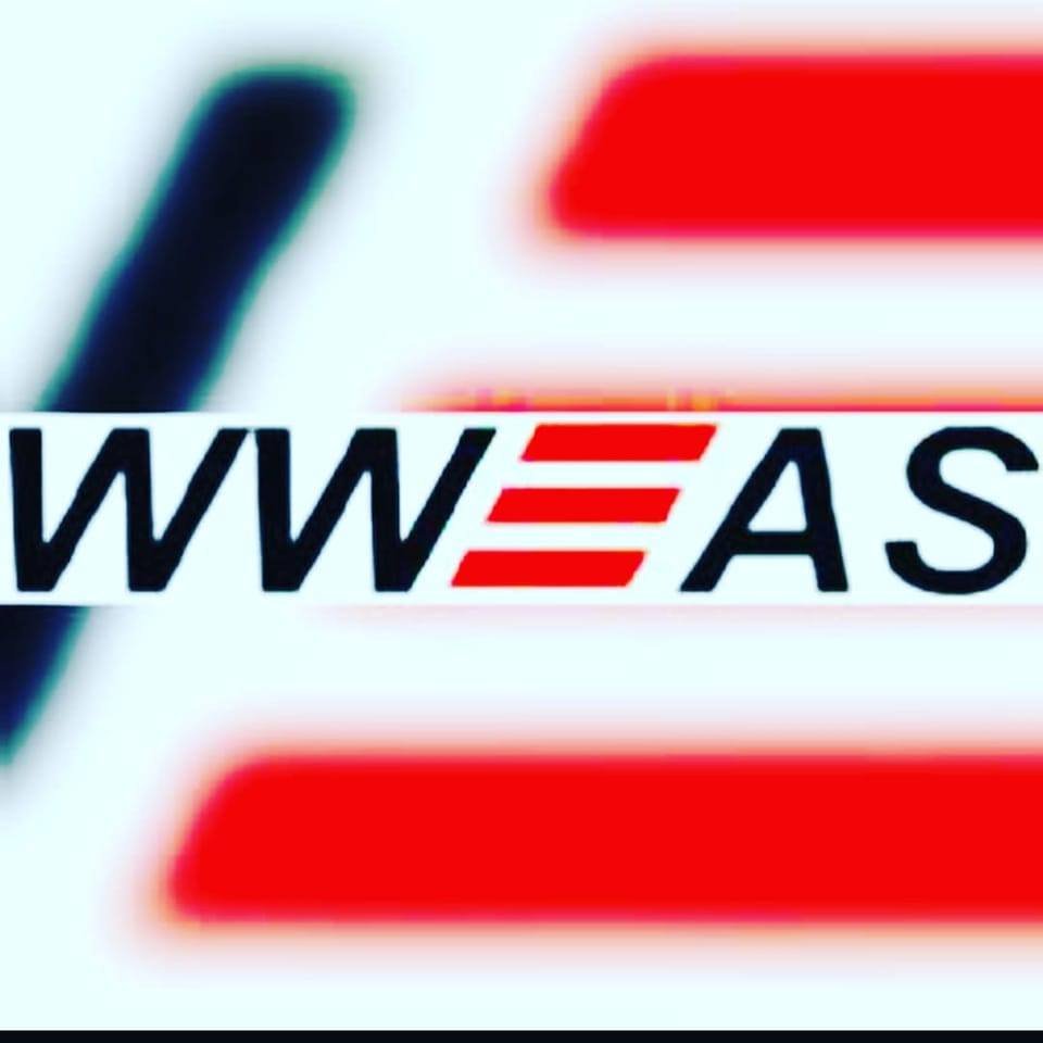 WWEAS TOP IELTS logo